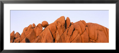 Joshua Tree National Park, California, Usa by Panoramic Images Pricing Limited Edition Print image