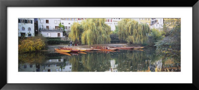 Reflection Of Buildings And Trees On Water, Neckar River, Tubingen, Baden-Wurttemberg, Germany by Panoramic Images Pricing Limited Edition Print image
