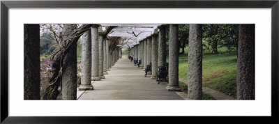 Columns Along A Path In A Garden, Maymont, Richmond, Virginia, Usa by Panoramic Images Pricing Limited Edition Print image