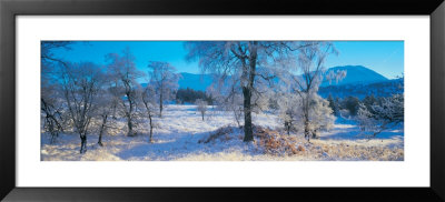 Trossachs National Park, Scotland, United Kingdom by Panoramic Images Pricing Limited Edition Print image