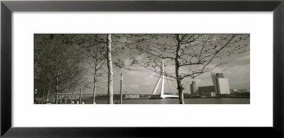 Bridge Over A River, Erasmus Bridge, Rotterdam, Netherlands by Panoramic Images Pricing Limited Edition Print image