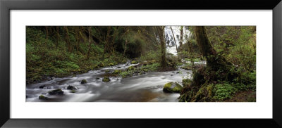 Fishhawk Creek, Clatsop County, Oregon, Usa by Panoramic Images Pricing Limited Edition Print image
