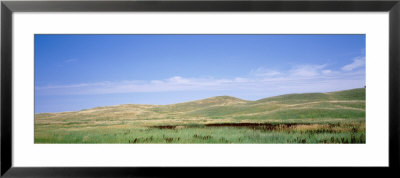 Prairie, Cherry County, Nebraska, Usa by Panoramic Images Pricing Limited Edition Print image