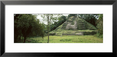 Temple Of The Jaguar, Lamanai, Belize by Panoramic Images Pricing Limited Edition Print image