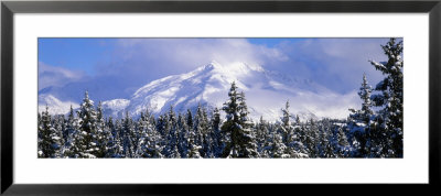 Forest, Chugach Mountains, Alaska, Usa by Panoramic Images Pricing Limited Edition Print image