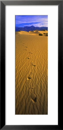 Footprints, Death Valley National Park, California, Usa by Panoramic Images Pricing Limited Edition Print image