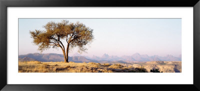 Tree, Debre Damo, Ethiopia, Africa by Panoramic Images Pricing Limited Edition Print image