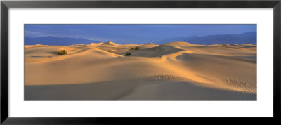 Mesquite Flat, Death Valley, California, Usa by Panoramic Images Pricing Limited Edition Print image