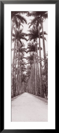 Garden Path, Rio De Janeiro, Brazil by Panoramic Images Pricing Limited Edition Print image