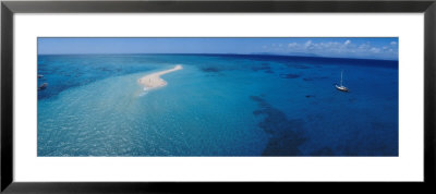 Great Barrier Reef, Queensland, Australia by Panoramic Images Pricing Limited Edition Print image