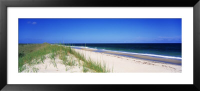 Cape Hattera National Park, Outer Banks, North Carolina Usa by Panoramic Images Pricing Limited Edition Print image