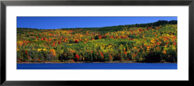 Autumn Eagle Lake, Acadia National Park, Maine, Usa by Panoramic Images Pricing Limited Edition Print image