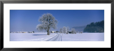 Winter Scenic, Austria by Panoramic Images Pricing Limited Edition Print image
