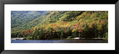 Deciduous Trees Along The Lake, White Mountain National Forest, New Hampshire, Usa by Panoramic Images Pricing Limited Edition Print image