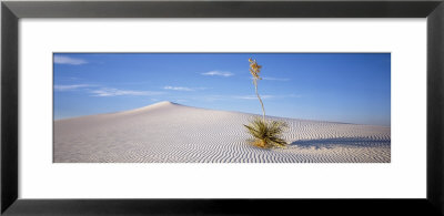 Soaptree Yucca, White Sands National Monument, New Mexico, Usa by Panoramic Images Pricing Limited Edition Print image