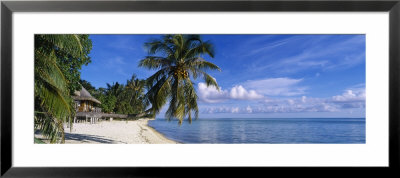 Tourist Resort On The Beach, Matira Beach, Bora Bora, French Polynesia by Panoramic Images Pricing Limited Edition Print image