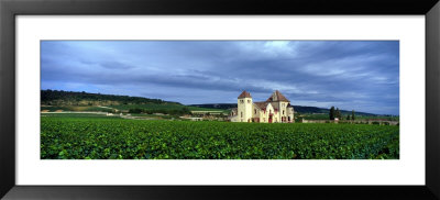 Grand Cru Vineyard, Burgundy, France by Panoramic Images Pricing Limited Edition Print image