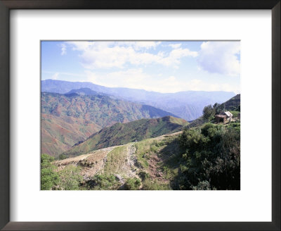 Terraces On Slopes Of Mountain Interior At 1800M Altitude, Bois D'avril, Haiti, West Indies by Lousie Murray Pricing Limited Edition Print image