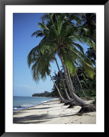 White Sandy Beach And Leaning Palm Trees, Koh Samui, Thailand, Southeast Asia by D H Webster Pricing Limited Edition Print image