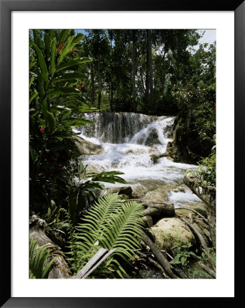 Dunns River Falls, Jamaica, West Indies, Caribbean, Central America by Robert Harding Pricing Limited Edition Print image