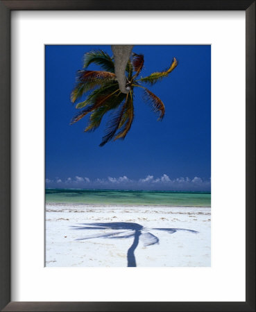 Horizontal Palm Tree And Its Shadow On White-Sand Bweju Beach, Zanzibar, Tanzania by Greg Elms Pricing Limited Edition Print image
