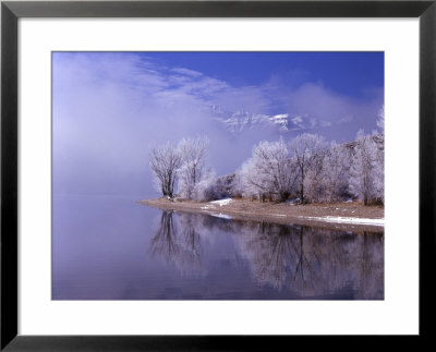 Rimed Trees And Reflection, Mt. Timpanogas, Utah, Usa by Howie Garber Pricing Limited Edition Print image