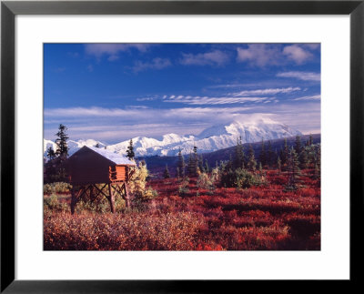 Log Stucture Keeps Bears From Food, Mt. Denali, Alaska, Usa by Charles Sleicher Pricing Limited Edition Print image