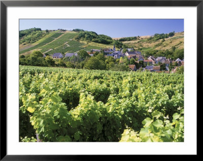 Vineyards At Bue, Near Sancerre, Loire Centre, France by Michael Busselle Pricing Limited Edition Print image