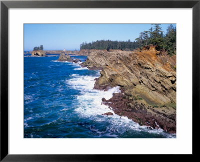 Shore Acres State Park, Oregon Coast, Usa by Janis Miglavs Pricing Limited Edition Print image