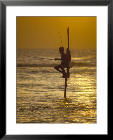 Stilt Fisherman (Pole Fisherman), Sri Lanka by Michael Busselle Pricing Limited Edition Print image
