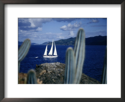 Sailboat, Baja, Mexico by John Connell Pricing Limited Edition Print image