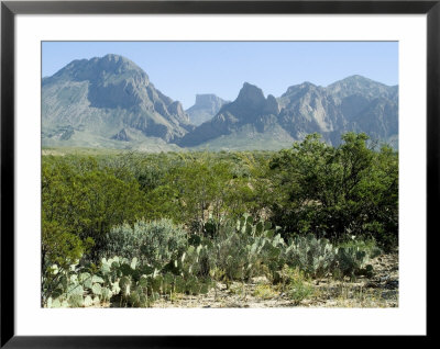 Big Bend National Park, Texas, Usa by Ethel Davies Pricing Limited Edition Print image