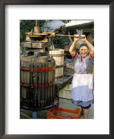 A Local Winemaker Pressing Her Grapes At The Cantina, Torano Nuovo, Abruzzi, Italy by Michael Newton Pricing Limited Edition Print image