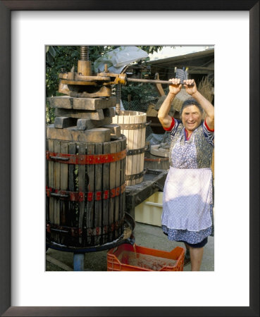 A Local Winemaker Pressing Her Grapes At The Cantina, Torano Nuovo, Abruzzi, Italy by Michael Newton Pricing Limited Edition Print image