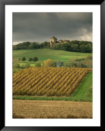 Vineyards Near Lons Le Saunier, Jura, Rhone Alpes, France by Michael Busselle Pricing Limited Edition Print image