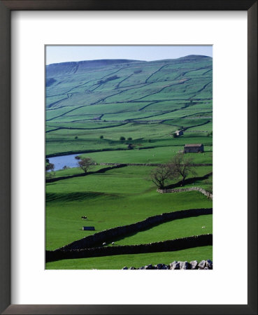 Green Dales And Traditional Stone Walls, England by Stephen Saks Pricing Limited Edition Print image