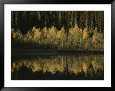 Autumnal Beauty Reflected In A Still Creek by Raymond Gehman Pricing Limited Edition Print image