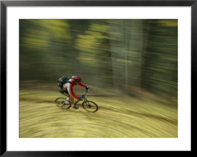 Jim Hall Speeds Down Bear Creek Trail On A Bicycle by Bill Hatcher Pricing Limited Edition Print image