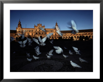 Pigeons In A Square In Seville by Steve Winter Pricing Limited Edition Print image