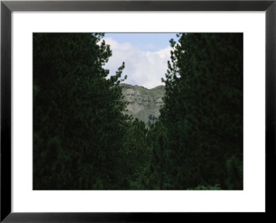 View Of Mount Rushmore National Memorial Framed By Evergreen Trees by Annie Griffiths Belt Pricing Limited Edition Print image