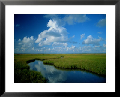 Marsh Canal In Oyster Bayou by James P. Blair Pricing Limited Edition Print image