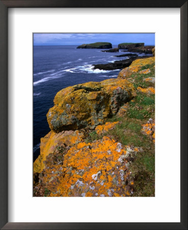 Lichen-Covered Sandstone Clifftops, Shetland Islands, Scotland by Grant Dixon Pricing Limited Edition Print image