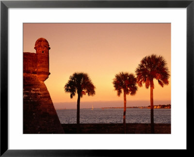 Palm Trees Next To Castillo De San Marcos At Sunset, St. Augustine, Usa by Witold Skrypczak Pricing Limited Edition Print image
