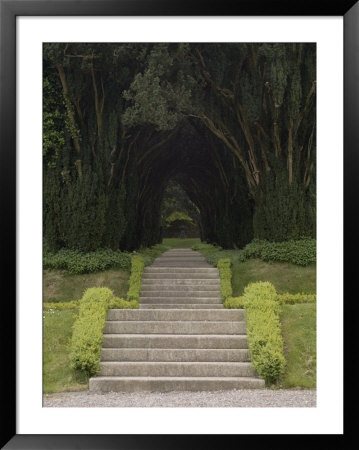 Woodstock Gardens And Arboretum, Inistioge, County Kilkenny, Leinster, Republic Of Ireland (Eire) by Sergio Pitamitz Pricing Limited Edition Print image