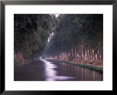 Canal Du Midi, Herault, Languedoc, France by Nik Wheeler Pricing Limited Edition Print image