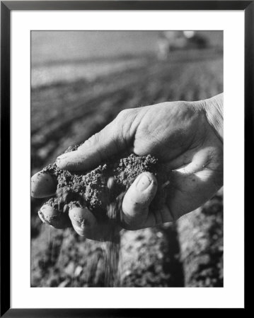 Farmer Holding A Handful Of Soil by Ed Clark Pricing Limited Edition Print image