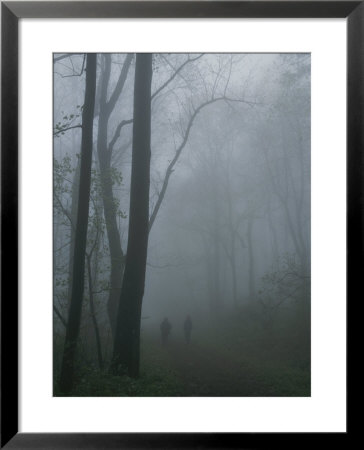 Hikers Enjoy A Foggy Outing On A Trail In The Shenandoah Valley by George F. Mobley Pricing Limited Edition Print image