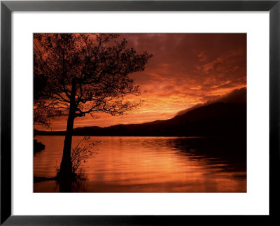 Red Sky At Sunset, Coniston Water, Consiton, Lake District, Cumbria, England, United Kingdom by Pearl Bucknall Pricing Limited Edition Print image