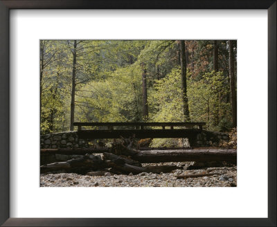 Footbridge Over A Dry Stream In Yosemite by Marc Moritsch Pricing Limited Edition Print image