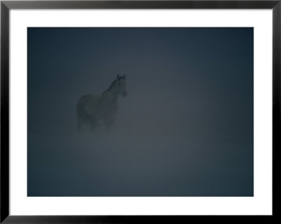 Horse In A Snowstorm Near Boggs, Wyoming by Paul Chesley Pricing Limited Edition Print image